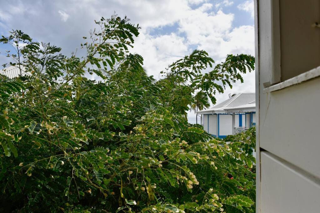 Joli Manga Soley Studio Dans Tres Belle Residence Saint-Francois  Exterior foto